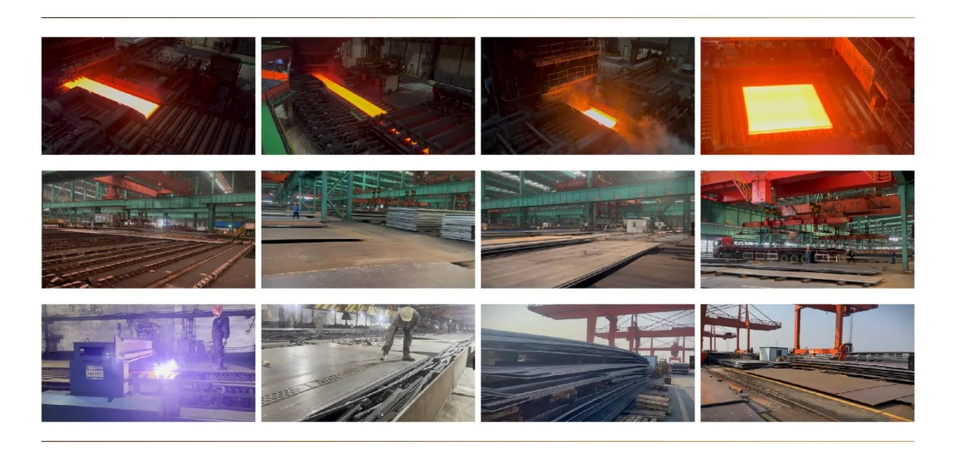 Hot-DIP Zn-Al-Mg Alloy Coated Steel Zm20-Zm600 Superior Corrosion Resistance